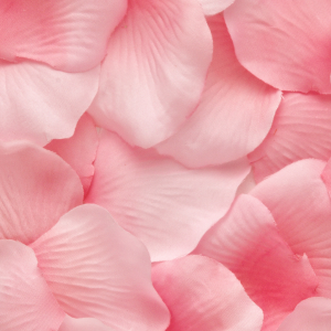 Bono Descuento 5 Sesiones de Láser Completo Chica