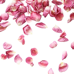 Bono 6 Sesiones de Cavitación y Presoterapia